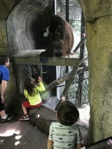 woodland park zoo