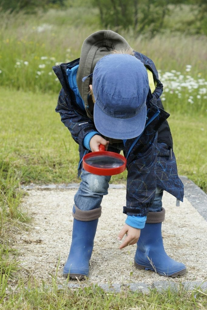 best nanny background check