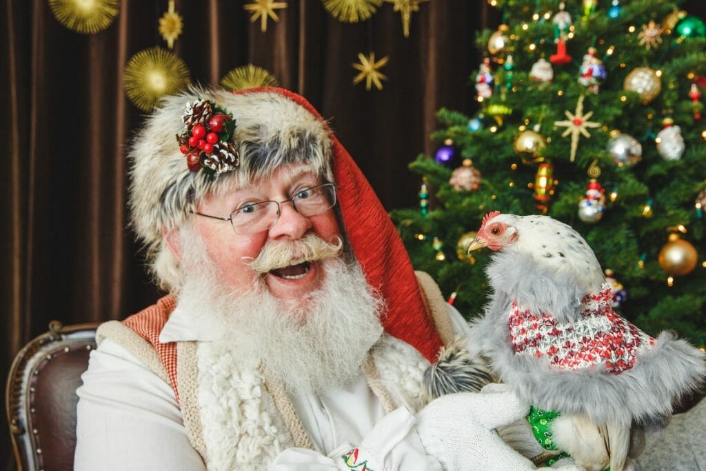 santa photos with pets